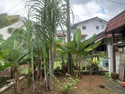 Sembawang Hills Estate (D20), Semi-Detached #458041441